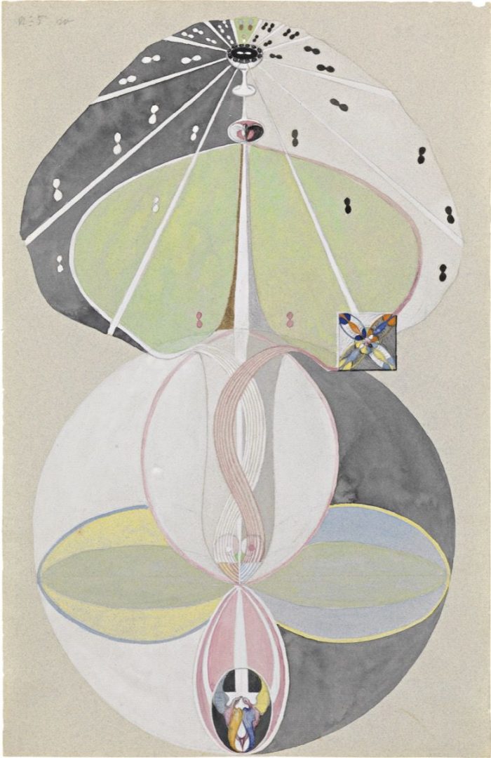 HILMA AF KLINT 13 HILMA AF KLINT 6